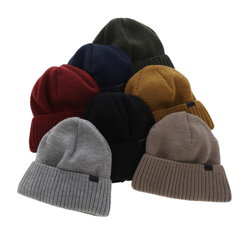 Czapka zimowa męska, szara, Maxim