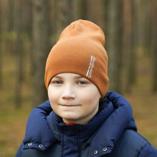 Czapka zimowa dla chłopca, camel, Clint
